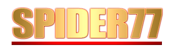 Logo Spider77